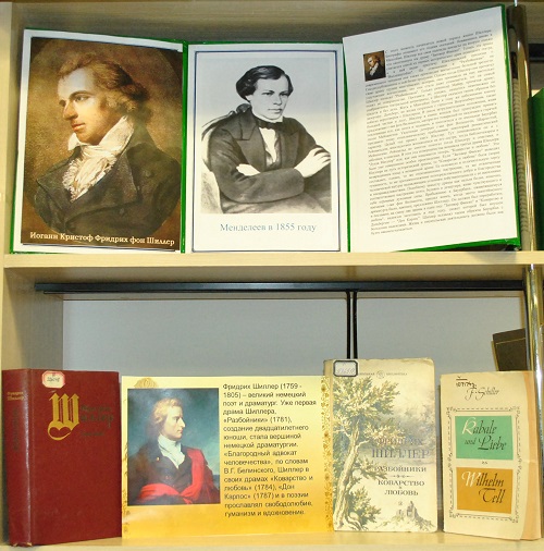 Oshxonadagi yalangoch oshpaz televizor